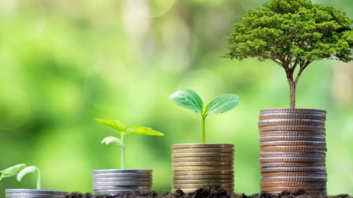 White Oak Impact Fund A Comprehensive Guide to Sustainable Investing