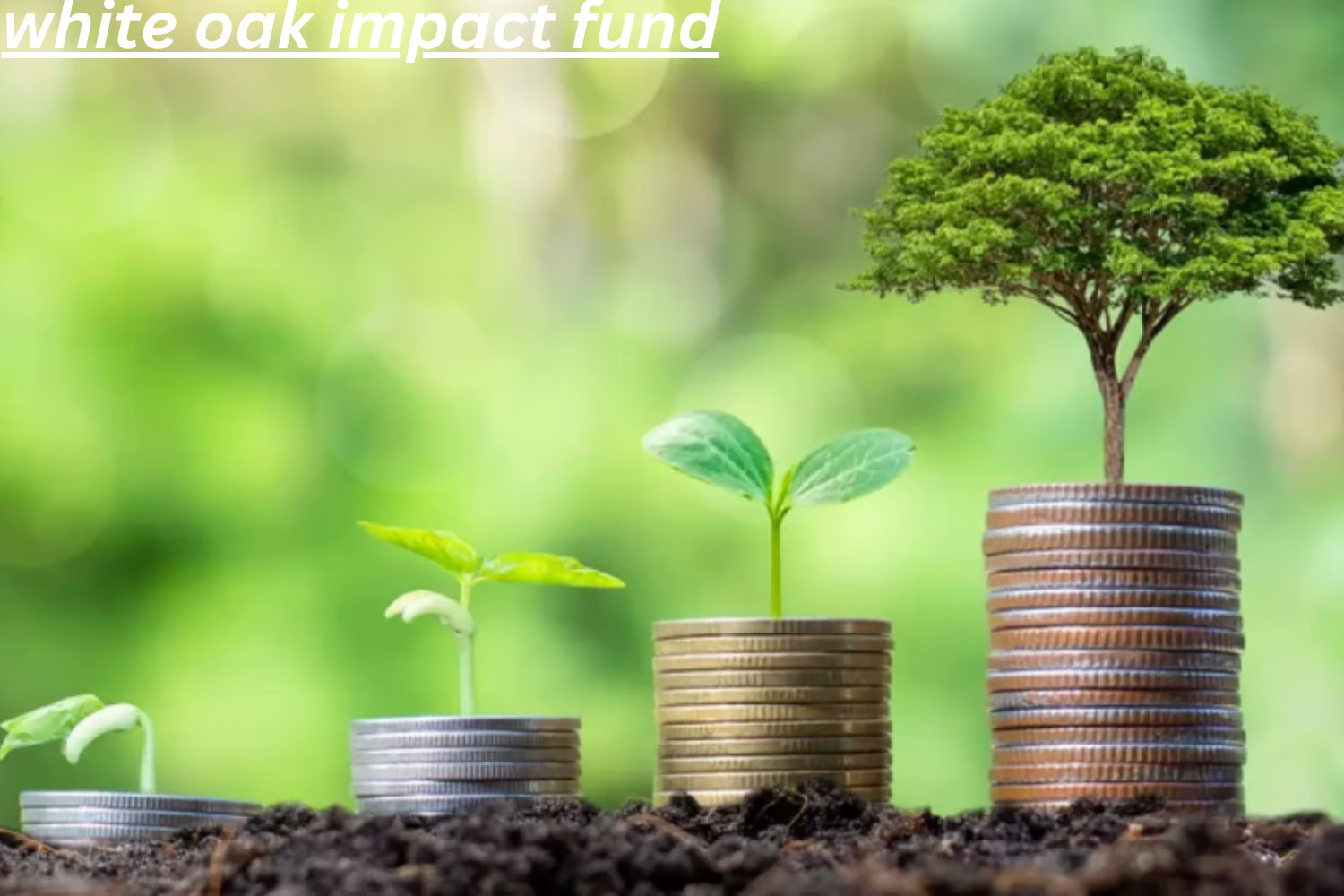 white oak impact fund