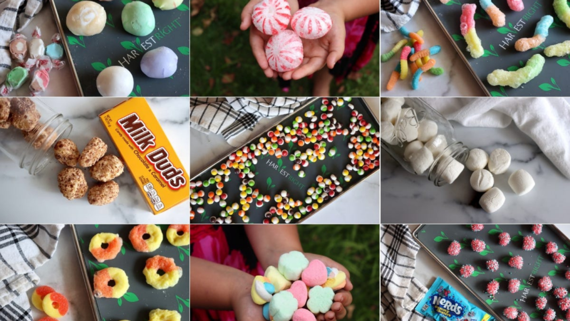 How to Make Freeze Dried Candy The Ultimate Recipe Collection