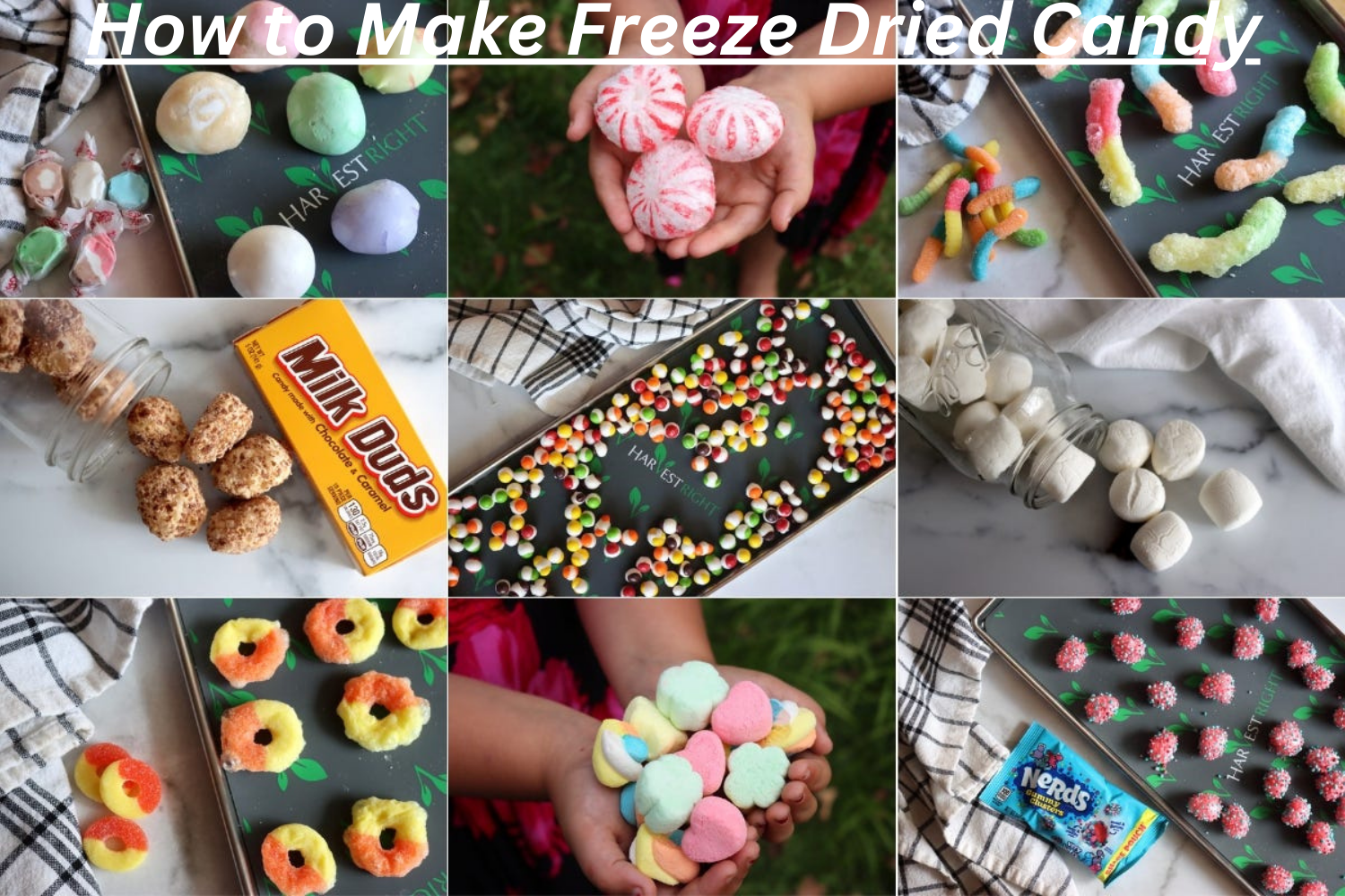 How to Make Freeze Dried Candy