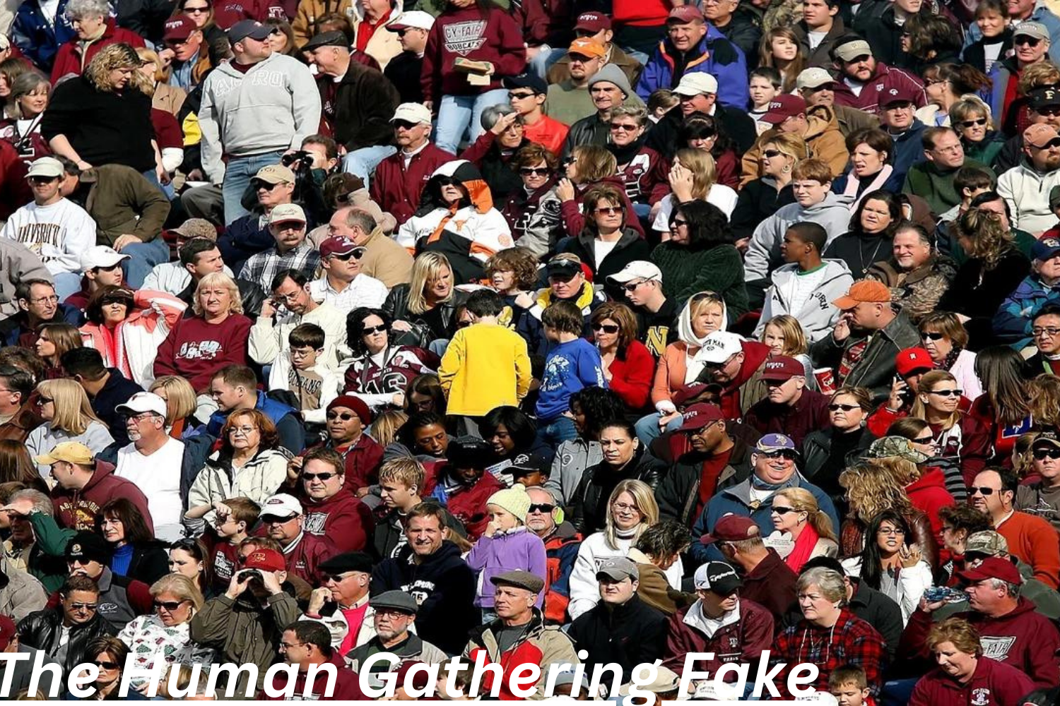 The Human Gathering Fake