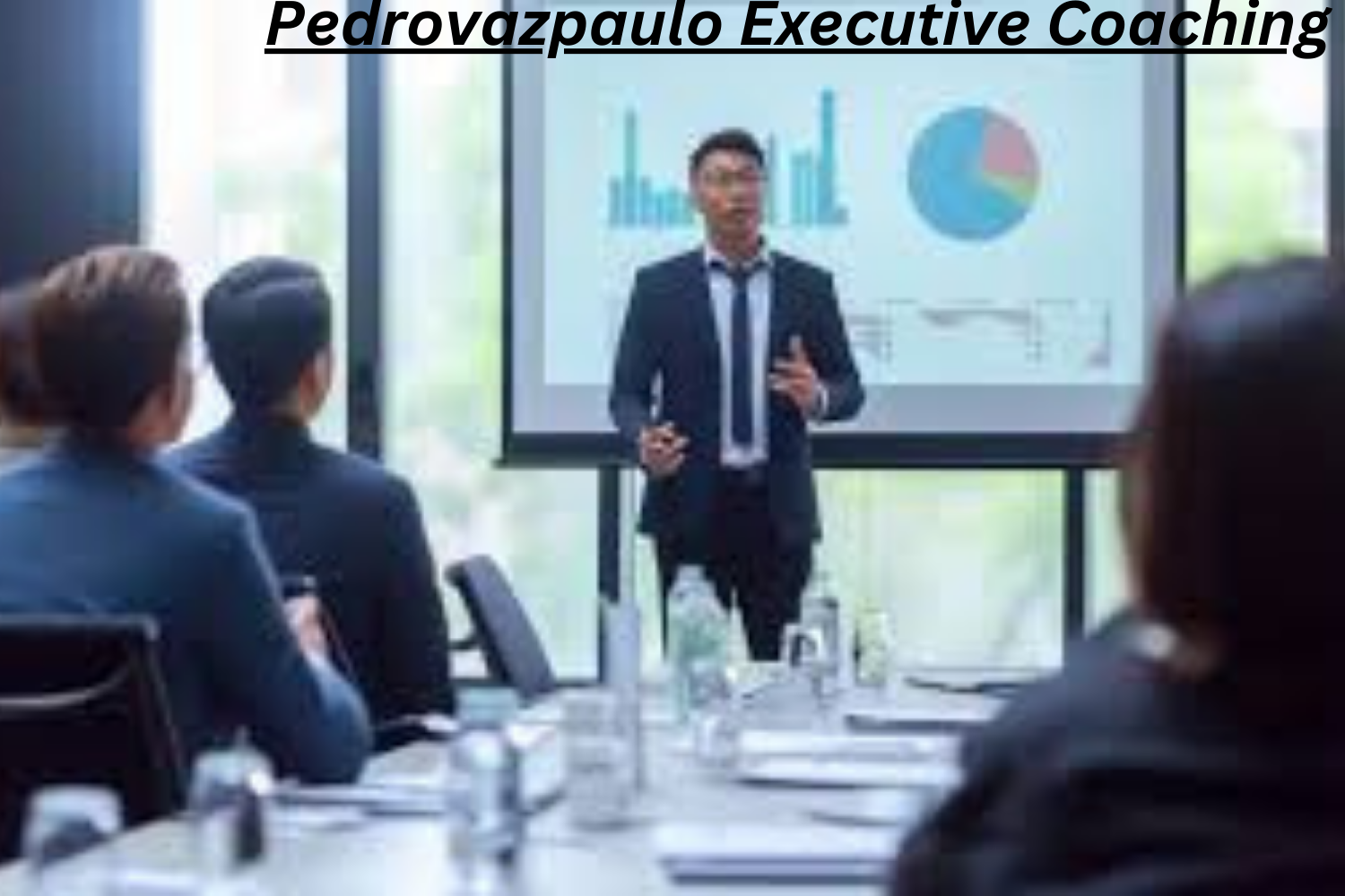 Pedrovazpaulo Executive Coaching