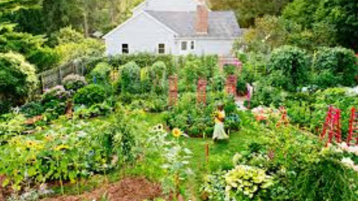 Permaculture Garden The Ultimate Guide to Sustainable Gardening