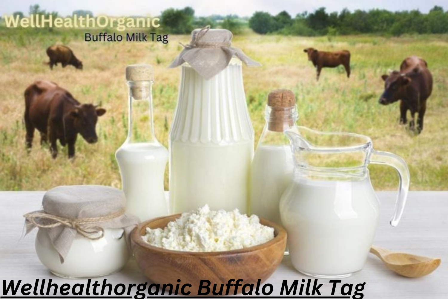 Wellhealthorganic Buffalo Milk Tag